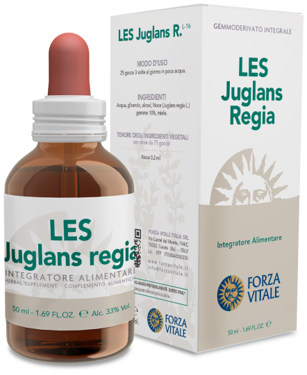 Juglans Regia Persian Walnut 50 ml