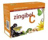 Zingibel Case 16 Unicadose 10 ml