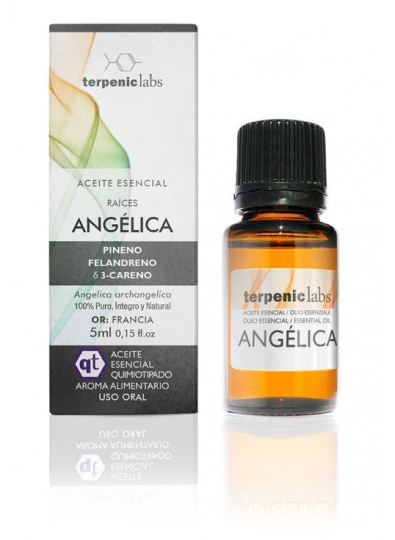 Angelica root 30 ml